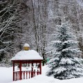 Photo 01 1280x853